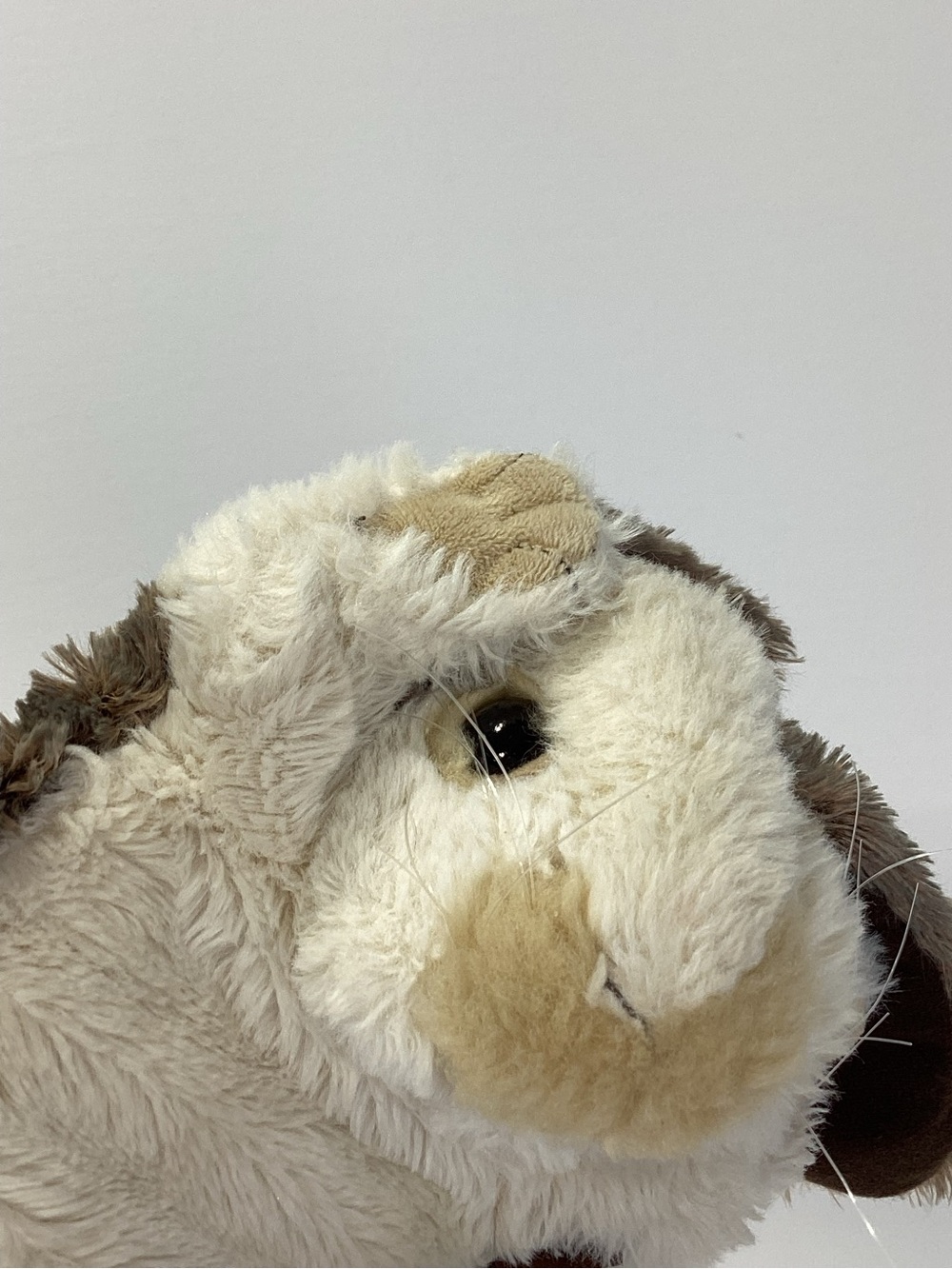Folkmanis Puppet Baby Lop Rabbit - Picture 9 of 14